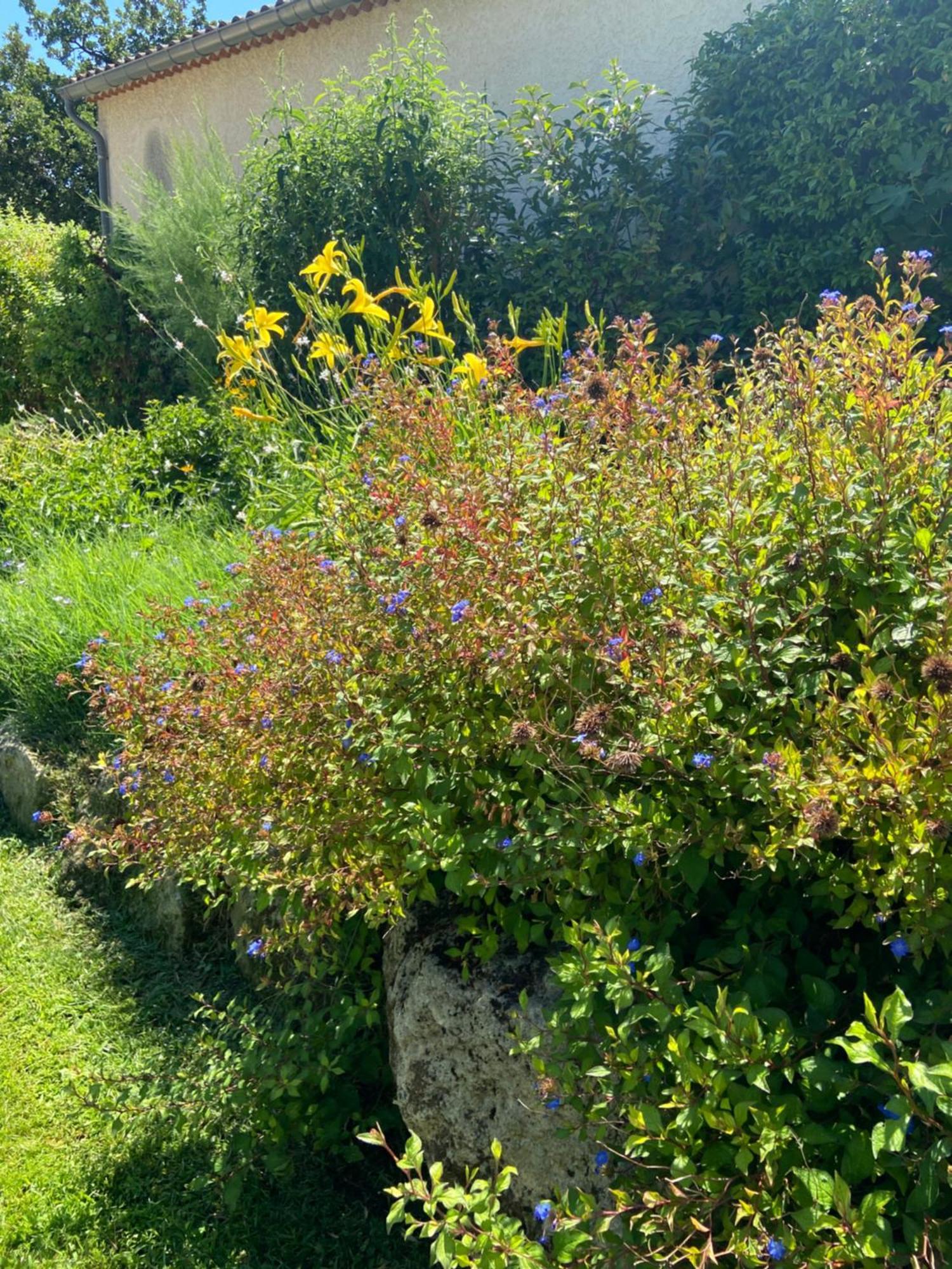 Paradis Provencal Villa - Espace Detente Et Bbq Lmv Carpentras Kültér fotó